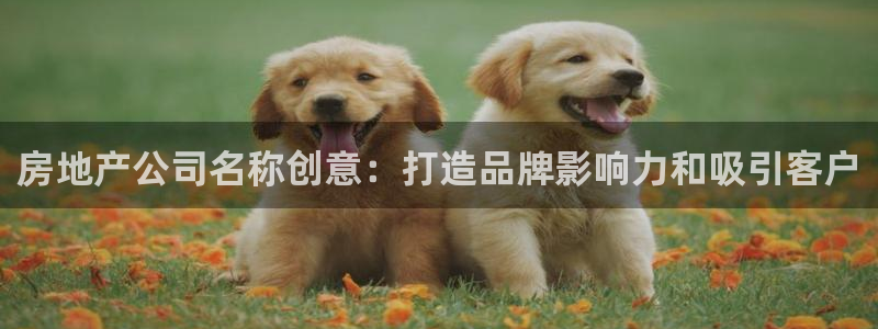 ag九游会官网登录