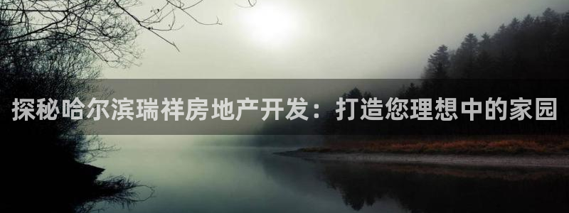 九游会j9官网ag